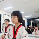 진스블랙벨트 태권도장 이미지