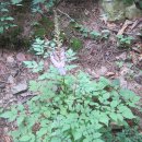 새울신협 이미지