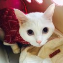 신바람 노래연습장 이미지