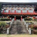 남국선원 소장 목판본류 불경 전적 | [제주 사찰] 참선 수행도량으로 유명한 무문관이 있는 혜국 큰스님이 창건한 남국선원