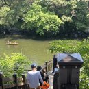 그늘막134 이미지