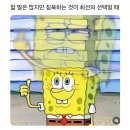 브라우니30(성복점) | 얼렁뚱땅 인턴 생활 2주차