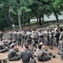 충의 이미지