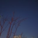더컬렉티드 이미지