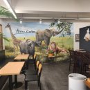 아프리카커피초콜릿수송점 이미지