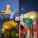 남천마을길 | 경주 야경투어 교촌마을 월정교 첨성대 등 여행코스 추천