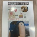 맑은마음병원 | 안산 중앙동 맑은수내과 백일해주사 후기 (35,000원 접종)