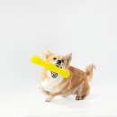 행신동물병원 이미지