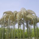 식물원 이미지