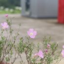 운봉2구 이미지