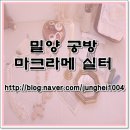 실터