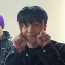 미소나무 이미지