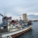 묵호어판장 이미지