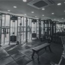 고구마 휘트니스 이미지