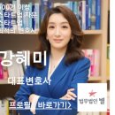 법무사임정관