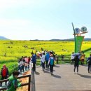 마치농장 이미지