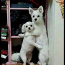 46 | [방탈출#46] 수원 소우주 <마지막 유산> 후기 (2인)