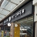 왈왈이애견카페웨스턴돔점 이미지