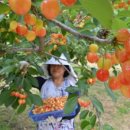 갑산농장 이미지