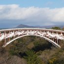 천제연로 이미지