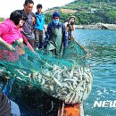유동어촌체험마을 이미지