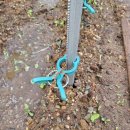 병걸농장 이미지