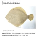 왕 | [제주 한림 포장 회] 대형 수조 갖춘 신선한 포장 모듬회 {활어왕}후기