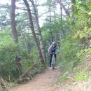 거북이주유소 이미지