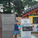 갈라지 펜션 | 영주 1박 2일 여행기 | 소수서원부터 부석사까지 완벽코스!