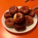 또바기민박 이미지