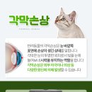 청사동물메디컬센타 이미지