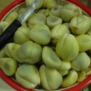 salak(살락) 이미지