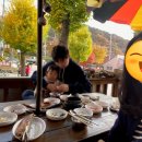 단풍이 예쁜 문경사과축제 후기 - 아이와 가볼만한 곳, 문경새재, 문경오픈세트장