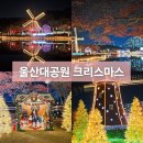 대공원로 | 울산대공원 크리스마스 트리 마켓 일정 기본 정보 방문 후기