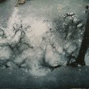 비오는날의추억 이미지