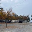 B.K복싱클럽 | 태안 se클럽 오션뷰 캠핑장 해루질 가능한 오토캠핑장