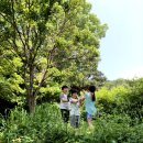 들꽃피는언덕 캠핑장 이미지