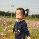 보민농장 이미지