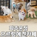 천사애견 - 광명시 오리로403번길 3 | 파주 운정 애견카페 으르렁 후기｜재방문할 만큼 만족한 강아지카페