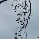 신도리어촌계식당 이미지