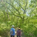 상주 남장사 관음선원 목조관음보살좌상 | 상주 관음선원, 숲길 끝에서 만난 고요한 산사 여행