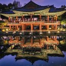 남원 Daum카페