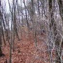 양교1교 이미지