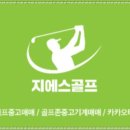 에스스크린골프 네이버블로그