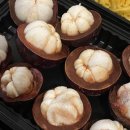 하누리약국 이미지