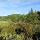 버스정류장 06-199 이미지