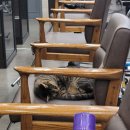 밥즐맛즐분식 | 피할 수 없다면 즐.. 즐입니다