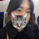 티나스타일 속눈썹&펌 양평시장점 | [양평 속눈썹] 티나스타일 속눈썹&펌 양평점 / 속눈썹연장 솔직후기