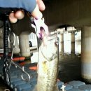 상동1교 이미지