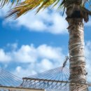 새벽(주) 이미지